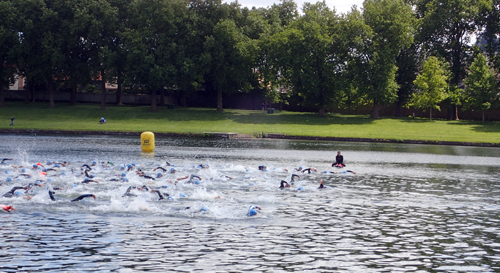 Natation triathlon du roi